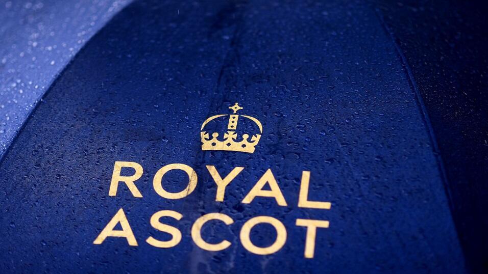 Big umbrella in Royal Ascot rain